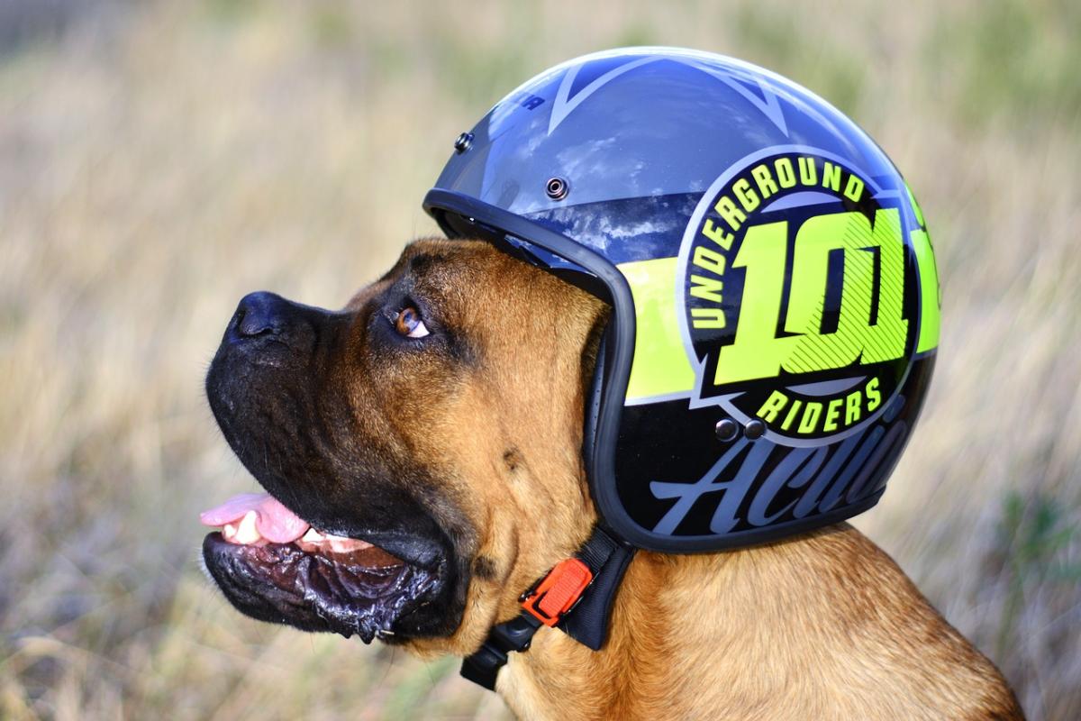Ultimate Guide to Full Face Motorcycle Helmets
