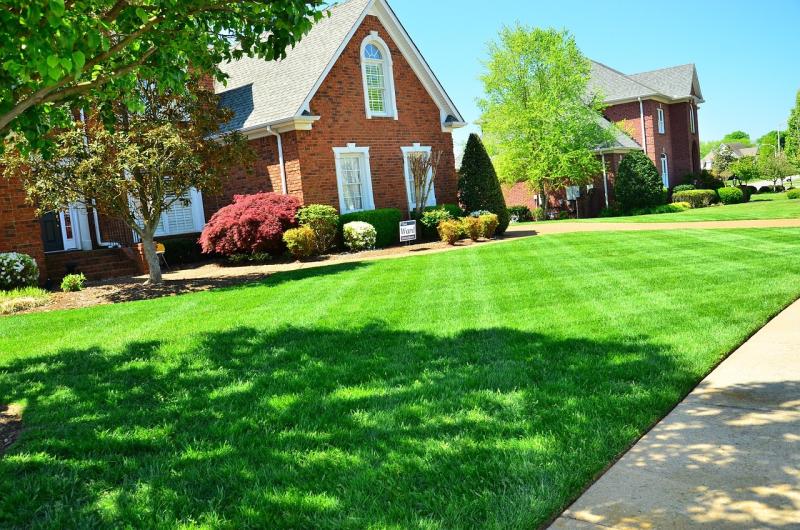 Transform your yard into a beautiful outdoor paradise