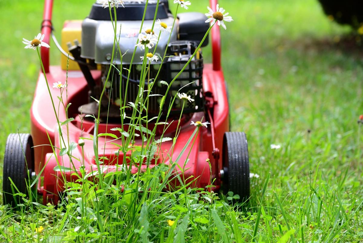Must-Have Accessories for Lawn Care Success