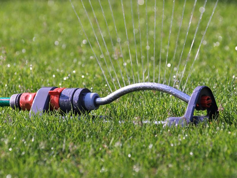 When to Get the Most from Your Grass Sprinkles