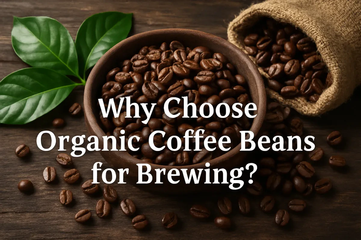 Why Choose Organic Coffee Beans for Brewing?