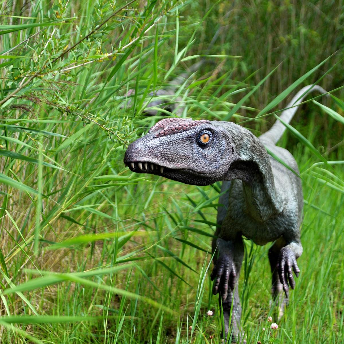 Discover Dinosaurs: Engaging Replicas for Kids' Learning