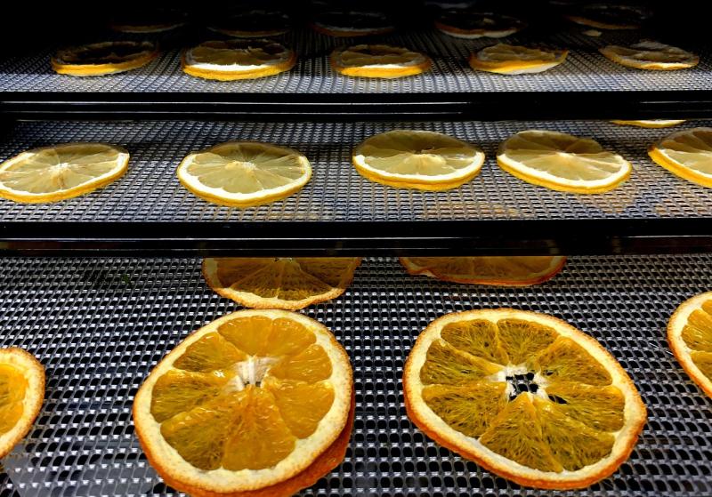 Everything you need to know to choose the best food dehydrator for your kitchen