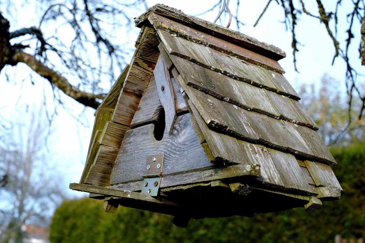 Explore Various Birdhouse Styles for Your Backyard