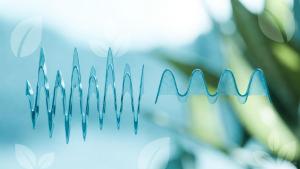 Neutraler Vergleich beliebter natürlicher Präparate für stabilen Blutzuckerspiegel