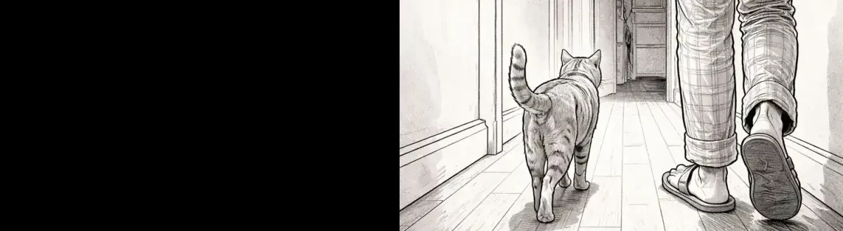 The Cat and Me - i Follow Finn Through His Early Morning Inspection