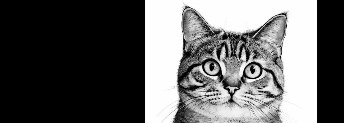 Chapter 2 - The Unwritten Contract Living With Cats