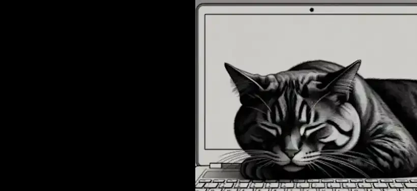 Chapter 3 - The Unwritten Contract Living With Cats