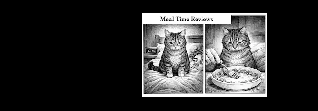 Chapter 4: The Unwritten Contract Living With Cats