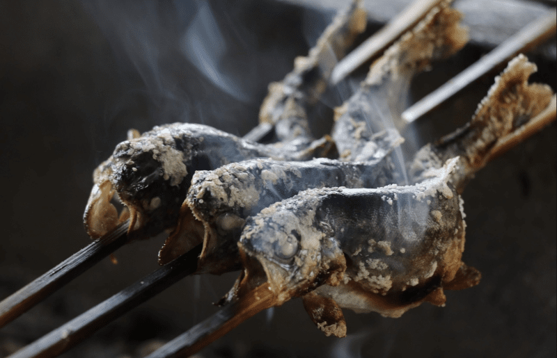 Tasty Fish You'll Want to Savor