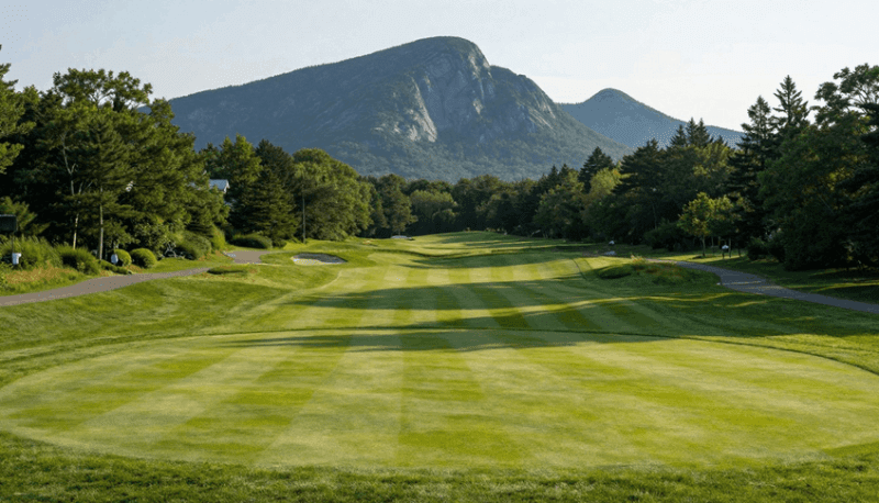 Discover Charming Fairways and Stunning Scenery