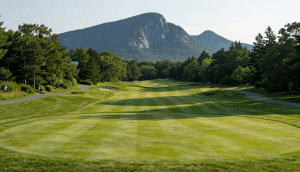 Discover Charming Fairways and Stunning Scenery