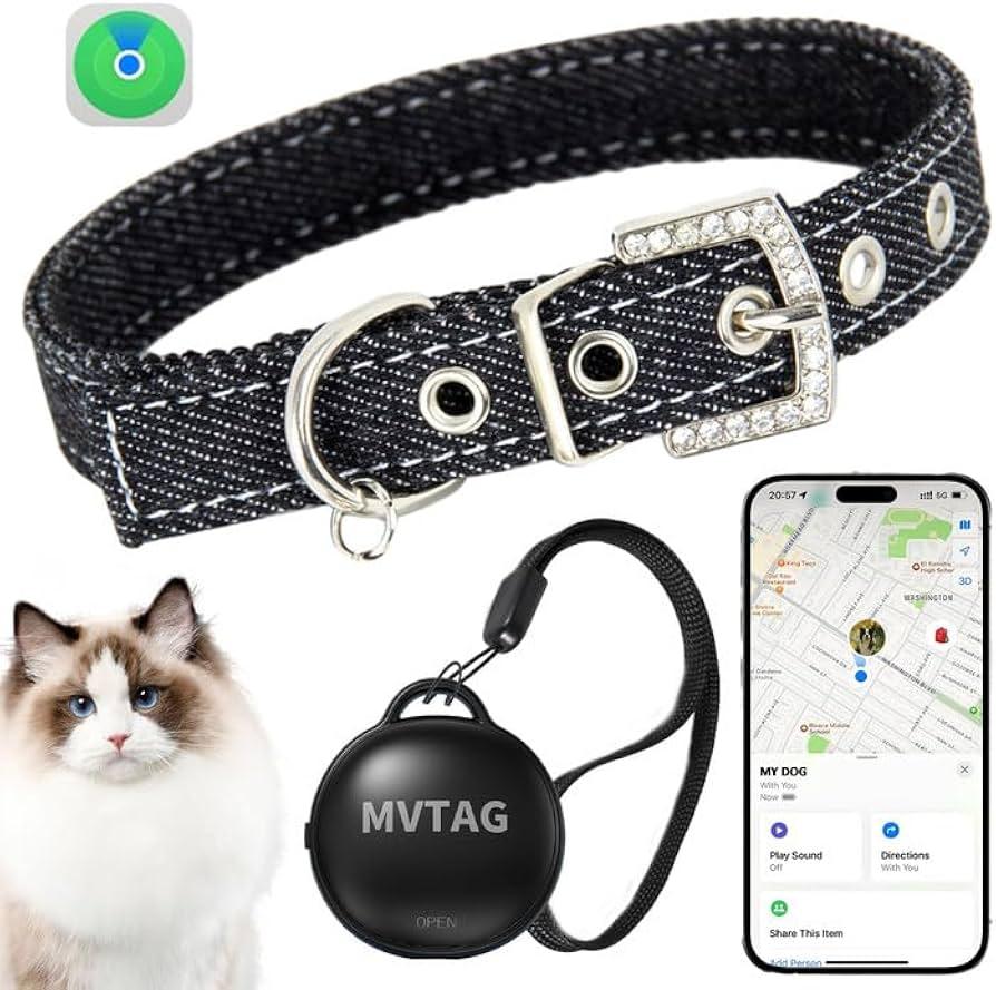 Best GPS Collars for Dogs vs Cats: What Pet Owners Should Know