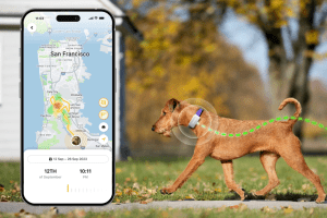 Discover how the latest gadgets protect your furry friends