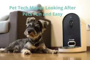 Discover the best gadgets to keep your furry friends happy and healthy