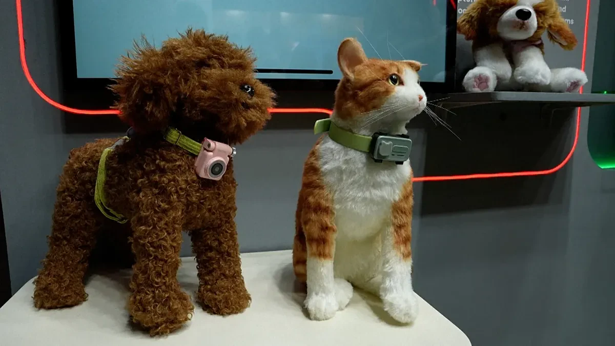 Smart Pet Technology Questions Answered