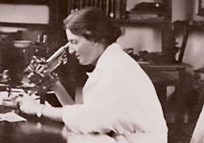 History of the Development of Vitamins