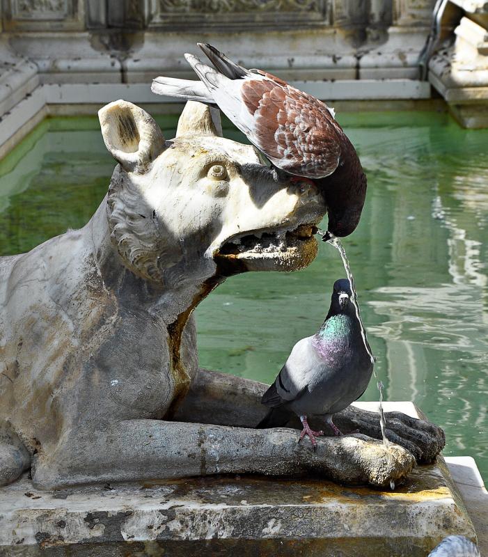 Fun and simple ways to enhance your garden with unique water features