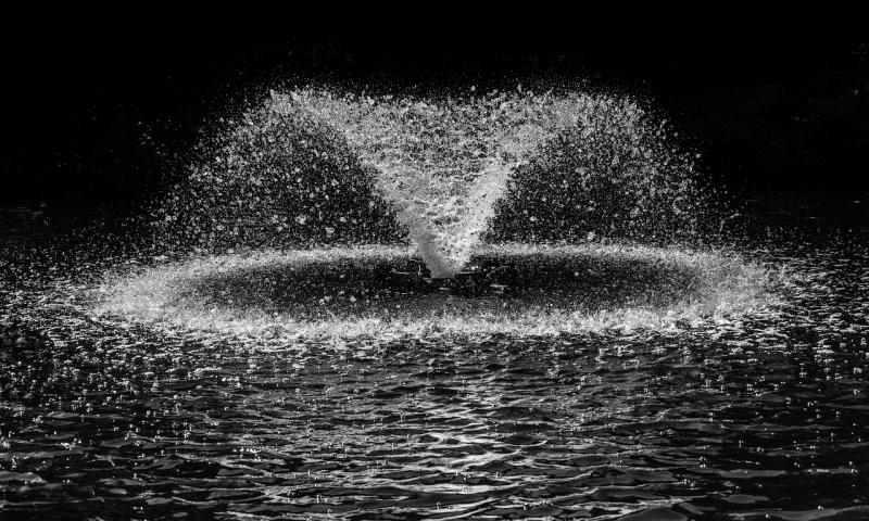 Fun Ways to Keep Your Kids and Pets Happy with Outdoor Fountains