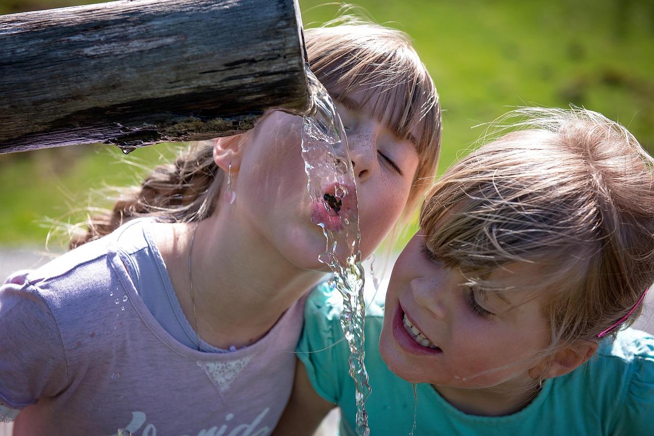 Must-Have Water Fountain Tips for Home Enjoyment