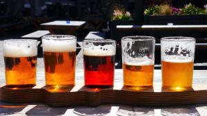 Discover the different types of beer and find your new favorite