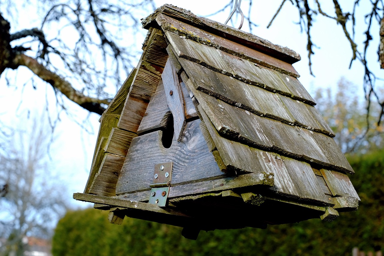 Exploring Various Types of Birdhouses for Your Yard