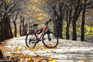 Make your ride electric and enjoy a whole new level of biking fun