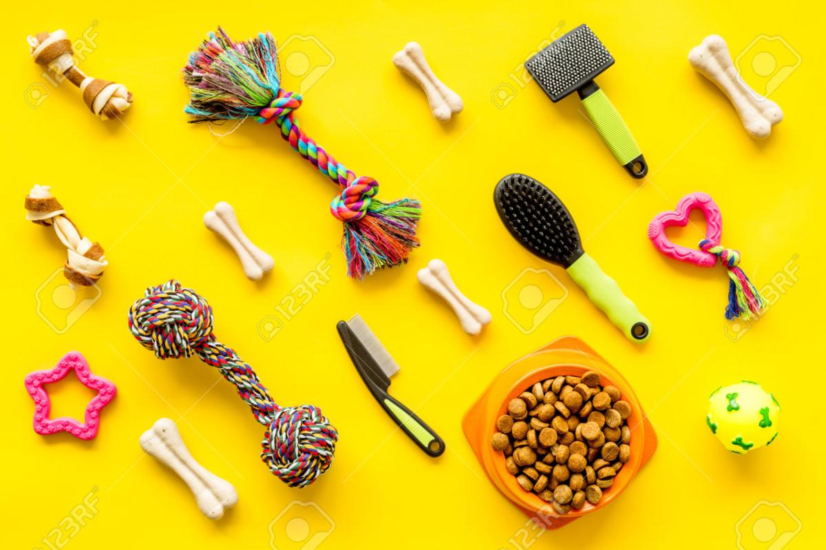 How to Choose the Right Pet Supplies for Daily Care