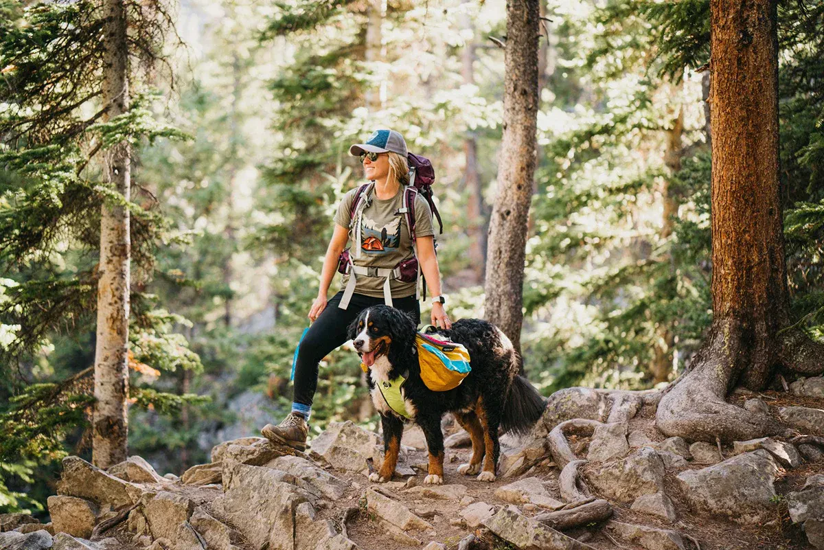 Essential Pet Outdoor Gear for Walks & Adventures