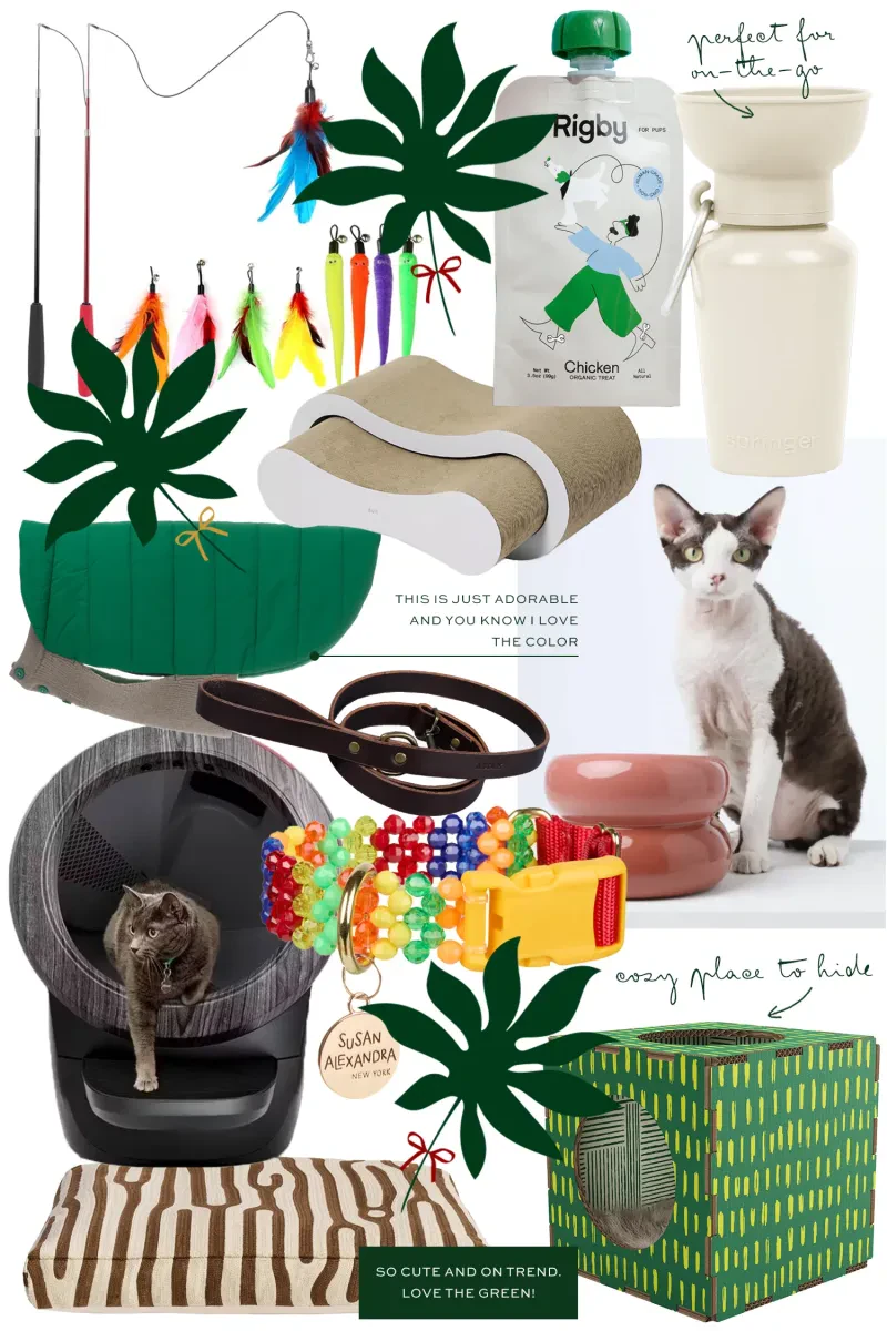 Best Pet Gift Ideas for Dogs & Cats (2026 Guide)