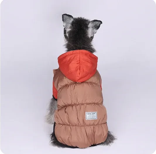 Must-have tips for keeping your furry friends happy and healthy all year long