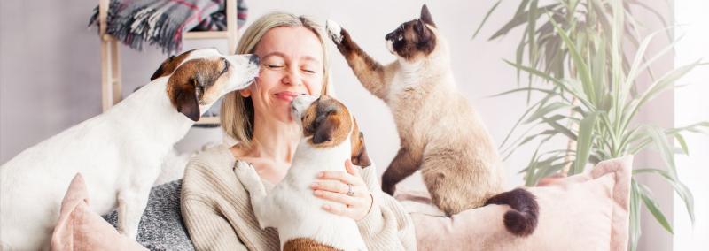 Simple ways to keep your indoor pets happy and stimulated
