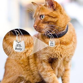 Simple ways to keep your furry friend safe and stylish