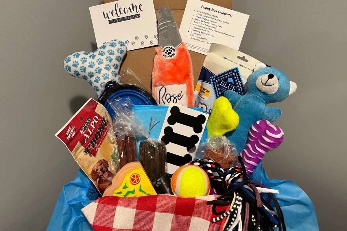 Pet Gift Shopping Tips for New Pet Owners