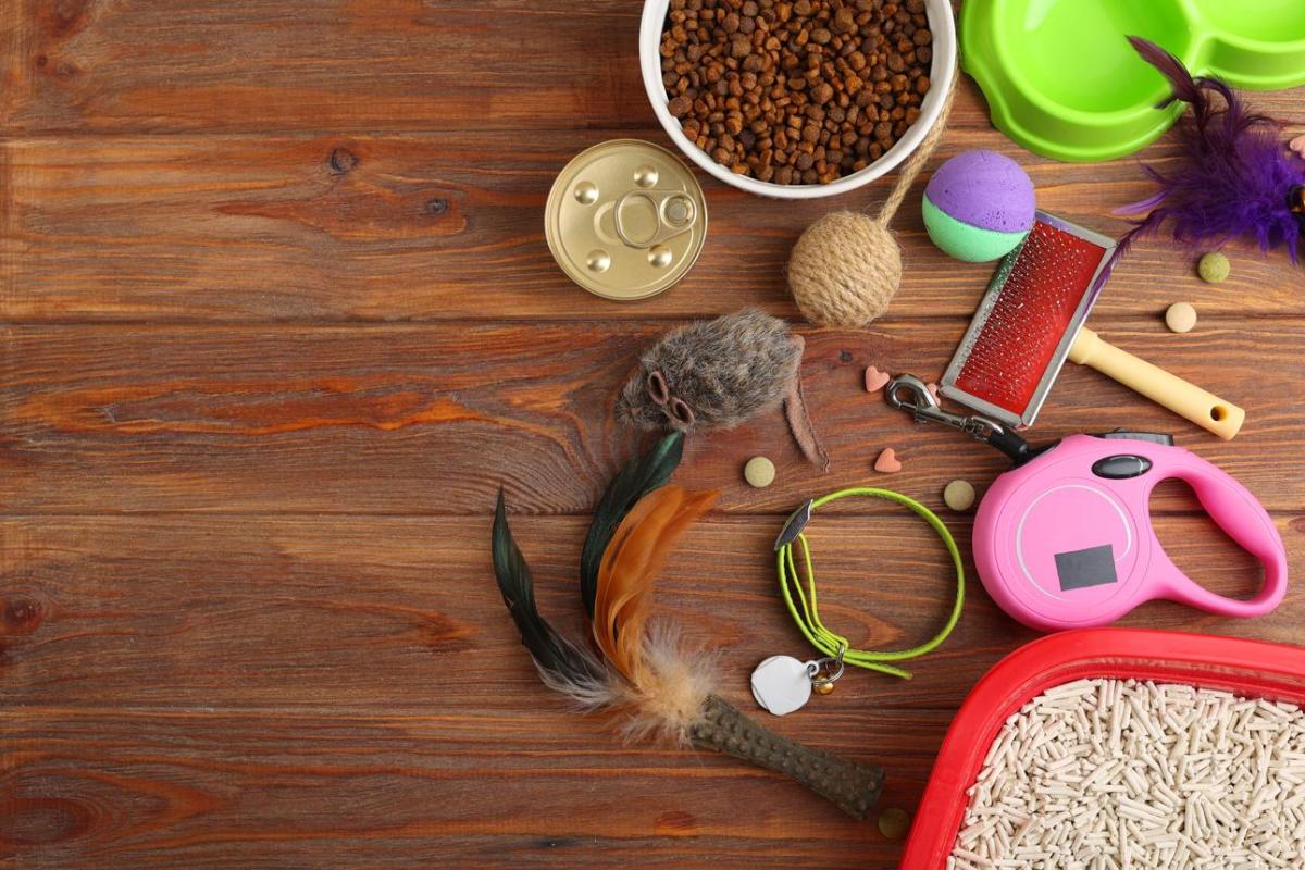 Best Pet Accessories That Make Daily Care Easier