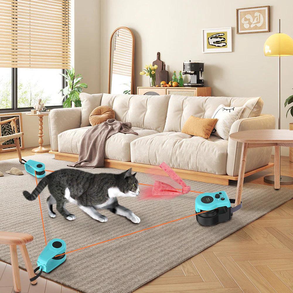 Simple Indoor Games to Keep Pets Active