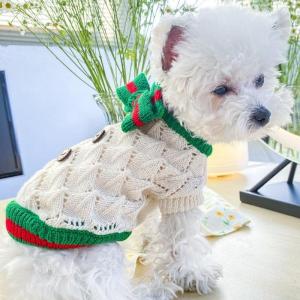 Stylish Gear That Keeps Your Pets Cozy