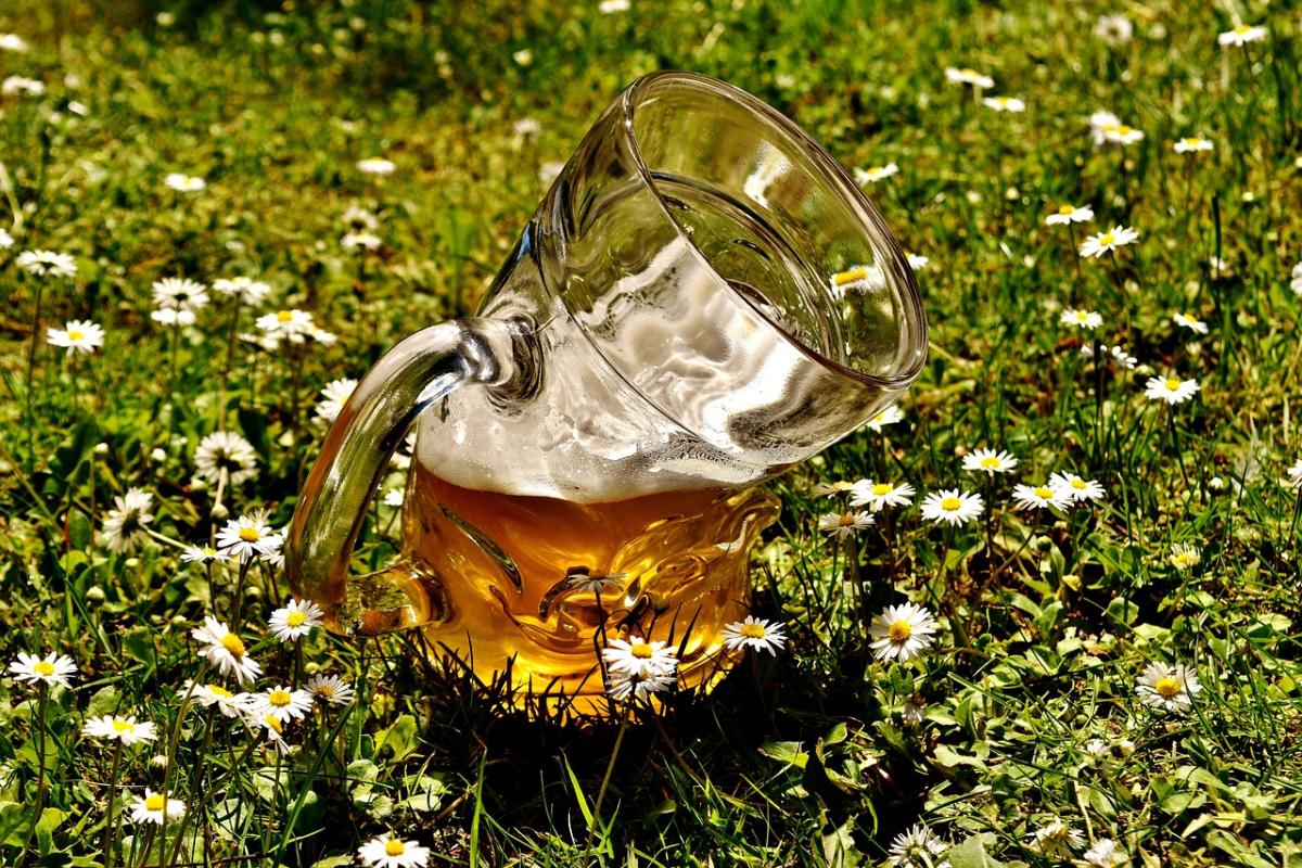 Exploring the Different Styles of Beer and How to Brew Them