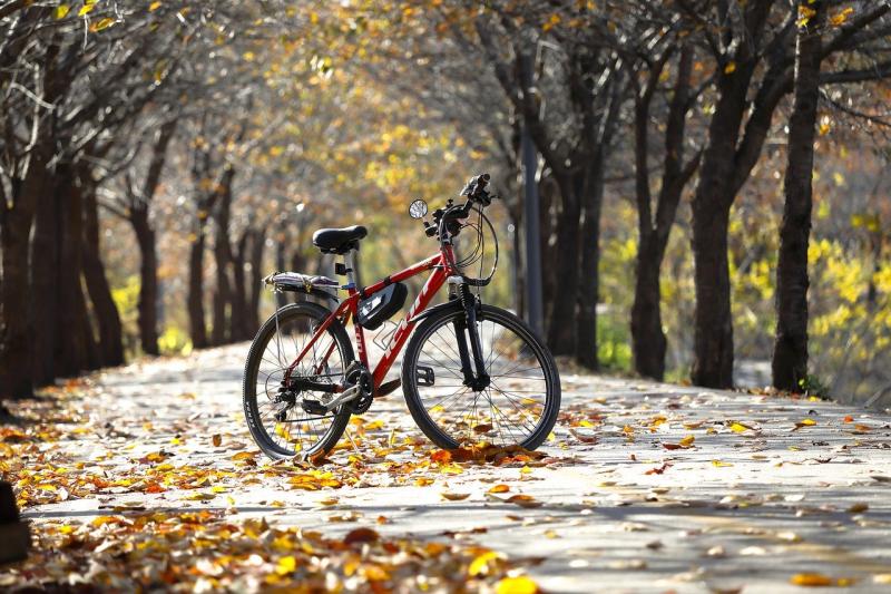 Experience the advantages of embracing eBike conversion kits and tap into their limitless potential