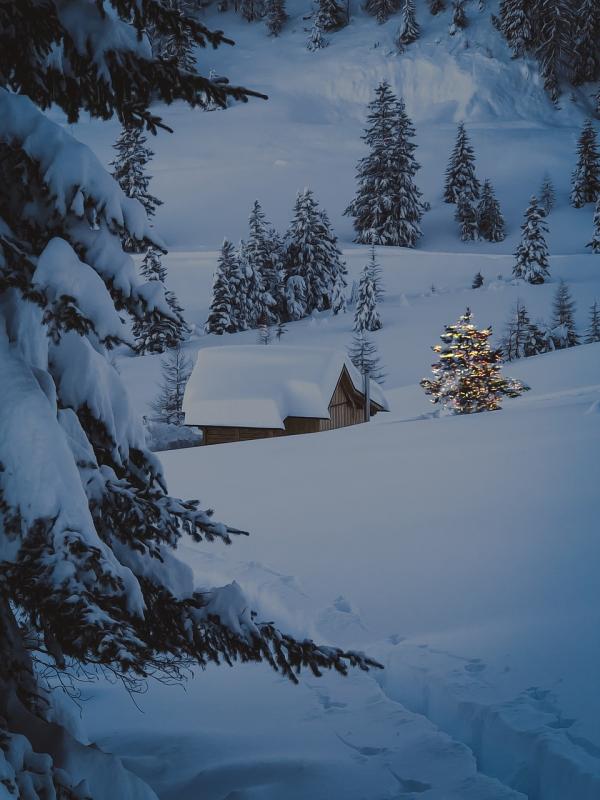 Discover eco-friendly ways to decorate your home for Christmas