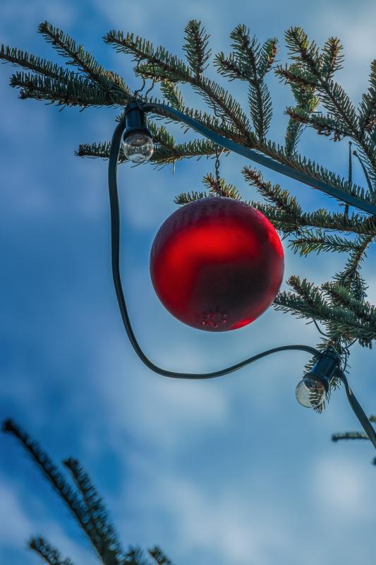 Find the perfect decorations for any small space!