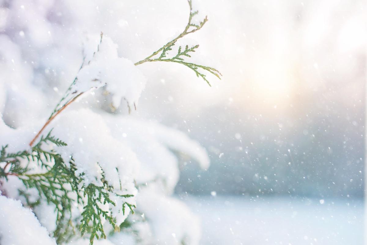Create a Sustainable Christmas with These Eco-Friendly Decor Ideas