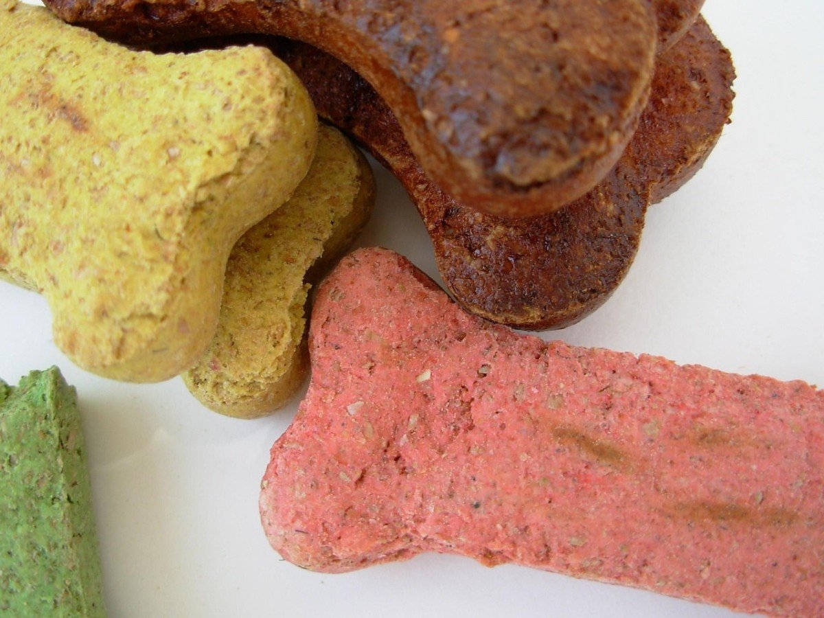 Food Lure: A Powerful Tool for Dog Training