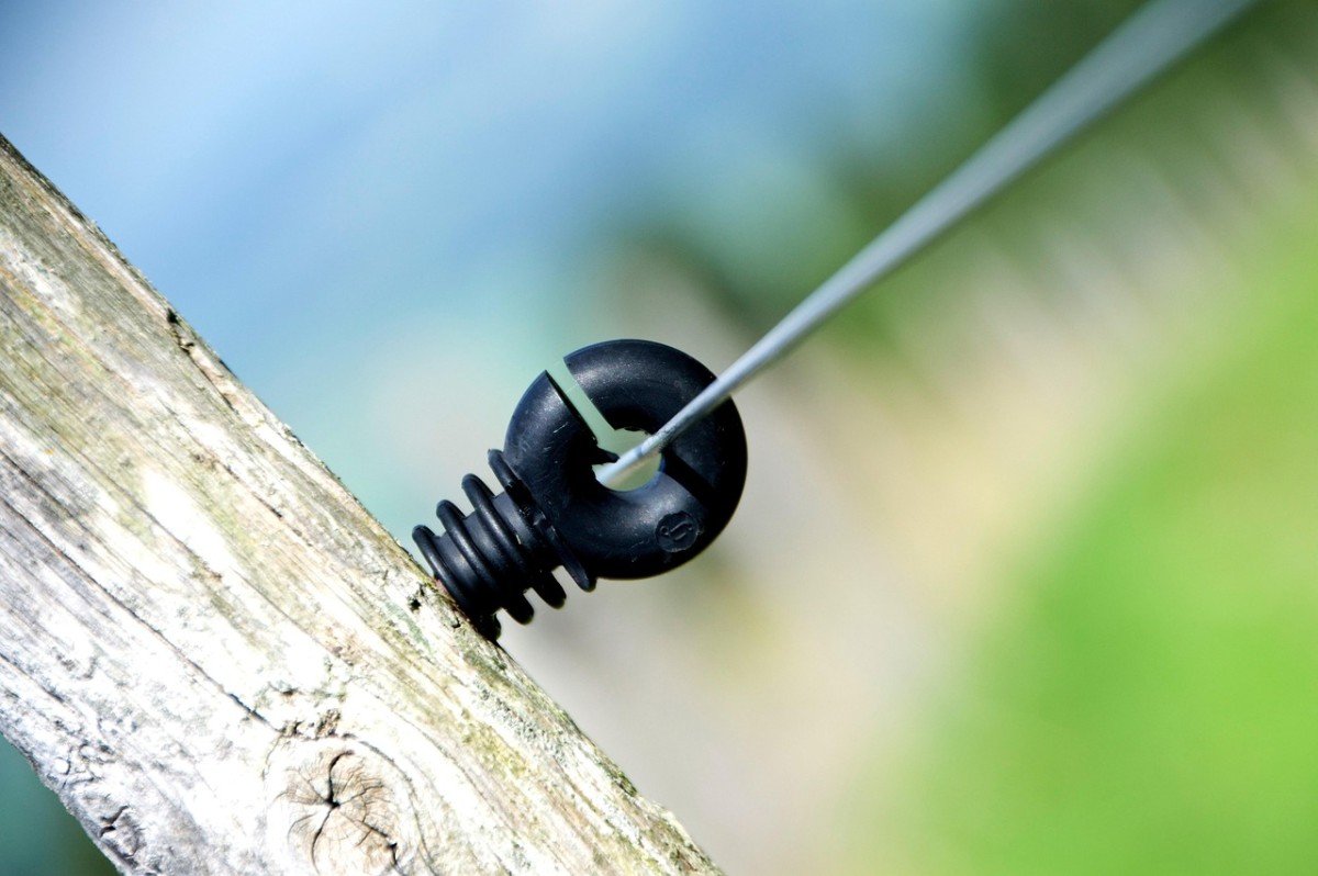 Choosing Between a Fence or Electric Fence