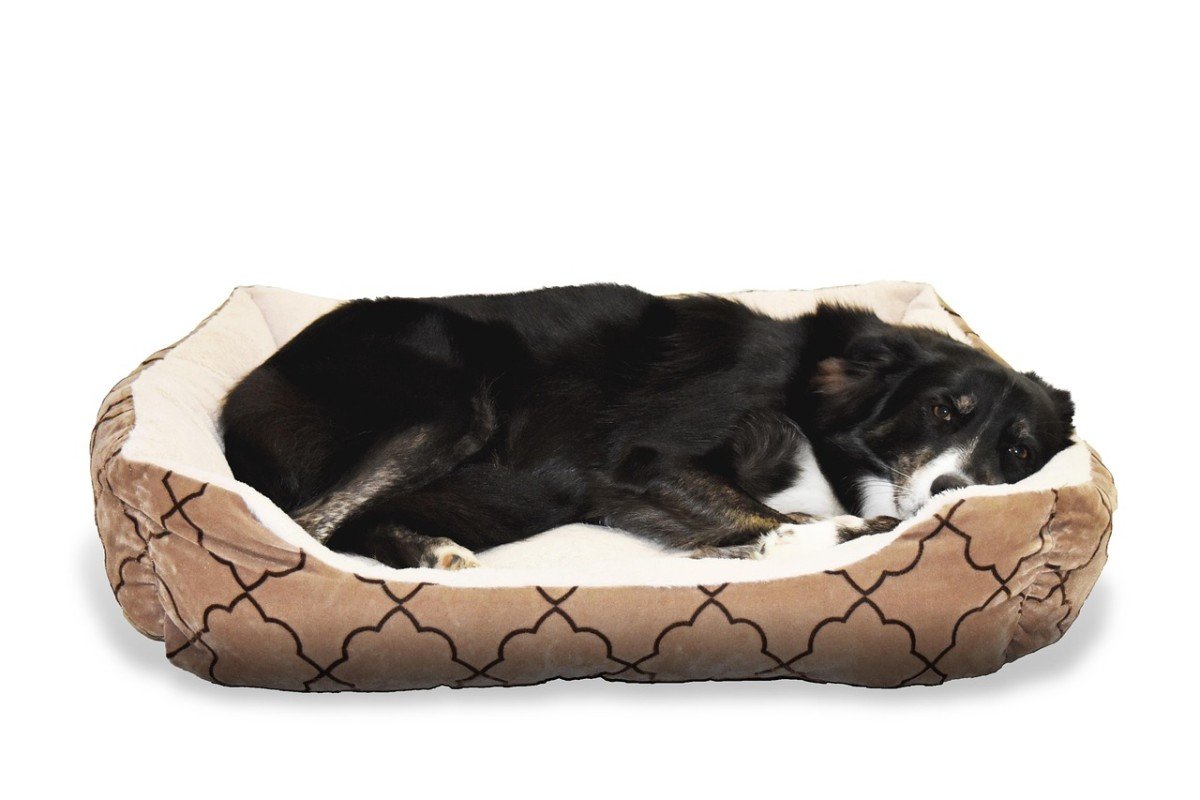 Dog Comfort: Crate Pads