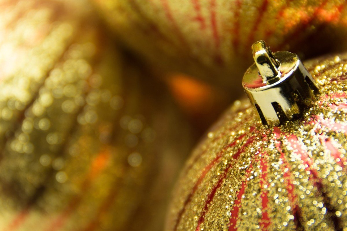 Keeping Your Dog Safe During the Holiday Season