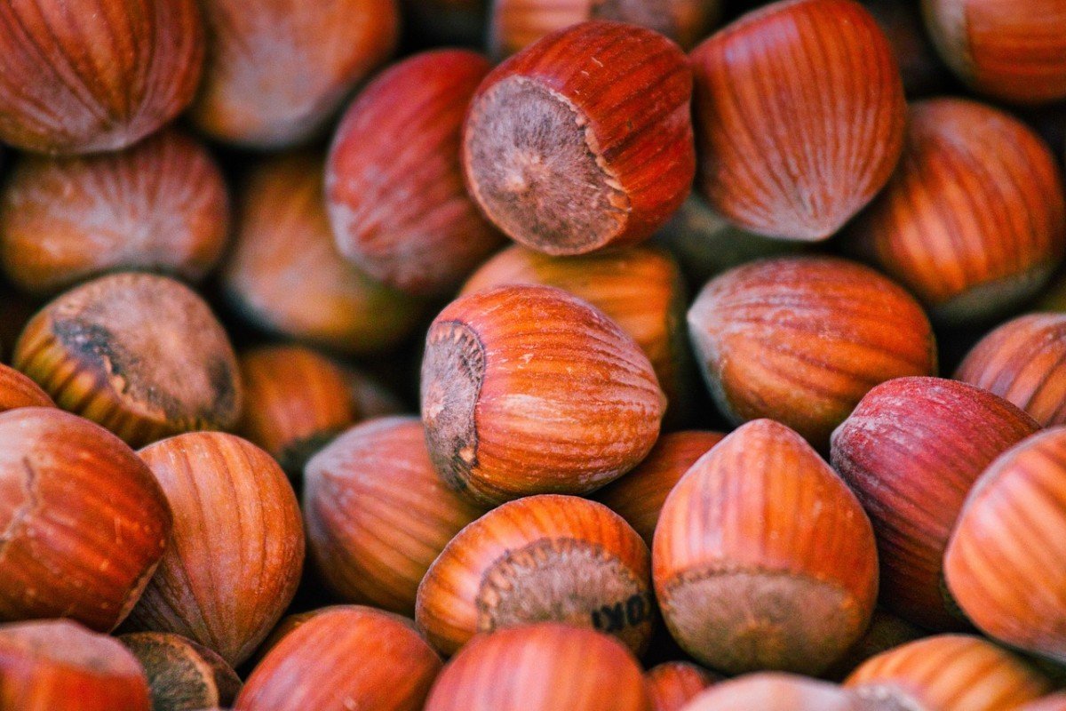 The Ultimate Guide to Long-Lasting Survival Food