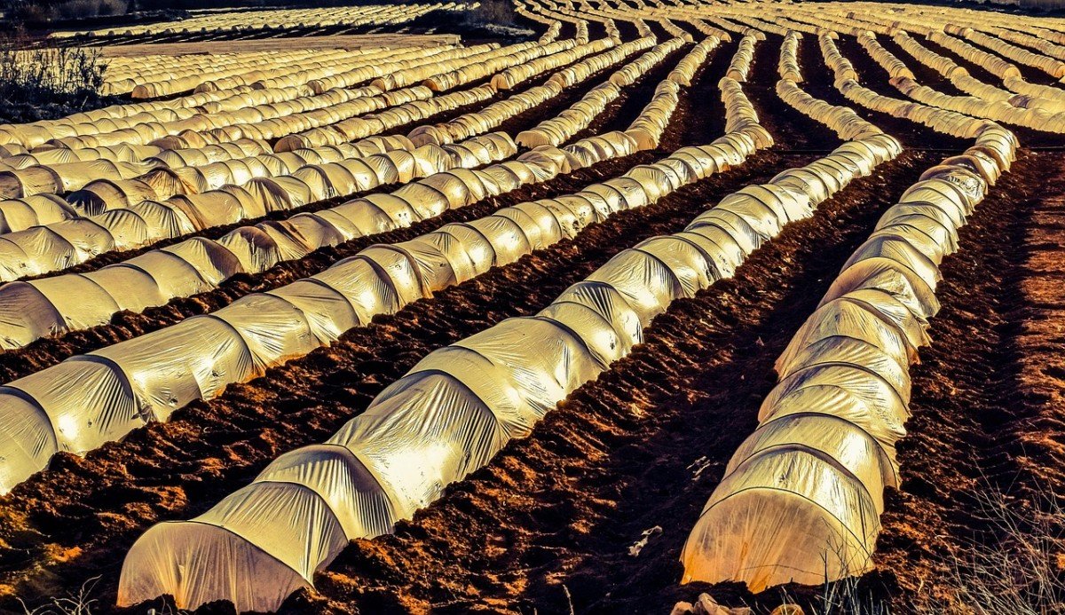 Essential Skills for Off-Grid Living