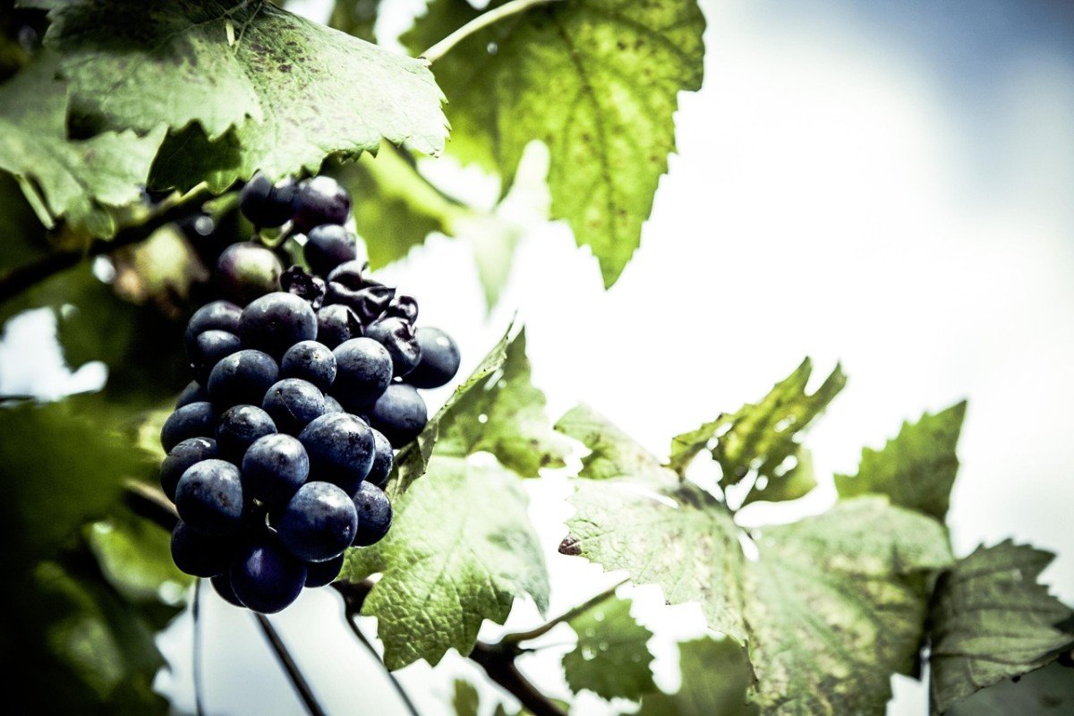 Self-Sufficiency: Ensuring Food and Water Off Grid