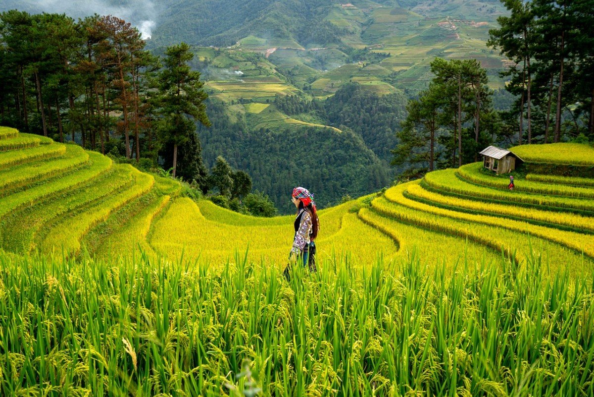 Exploring Sustainable Off-Grid Energy Solutions